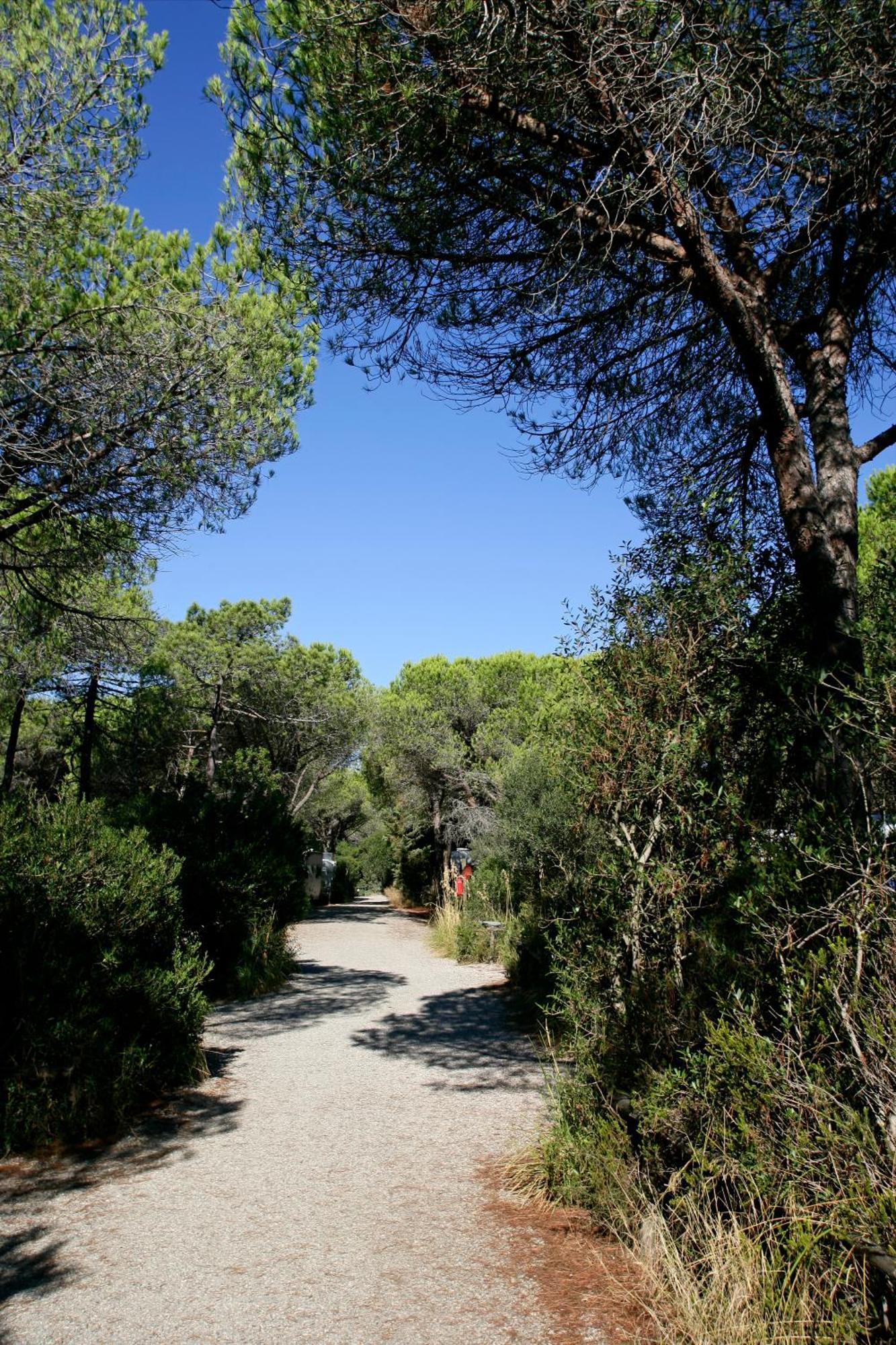 Camping Maremma Sans Souci Кастильоне-делла-Пеская Экстерьер фото